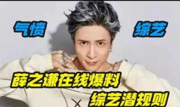 薛之谦爆料综艺节目视频,一场关于真相与情感的较量